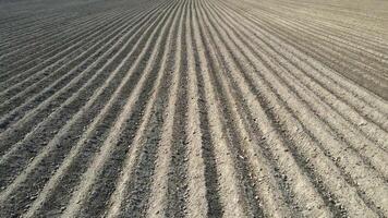 Arial drone view of a plowed field. Preparing for sowing in the spring. Field that is ready for planting. video