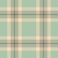 Elegant pastel plaid pattern in soft mint green and cream tones. Ideal for textile designs, website backgrounds, or crafting projects. vector