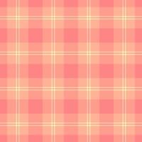 Pastel pink and peach plaid pattern. Perfect for textile design, website backgrounds, or scrapbooking projects. Subtle and elegant, this seamless texture offers a soft, feminine aesthetic. vector