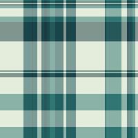 Lovely pattern seamless textile, manufacture texture background plaid. Damask tartan fabric check in pastel and white colors. vector