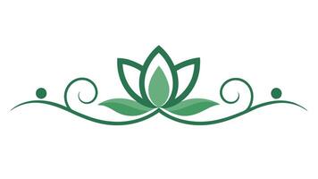 Stylish Botanical Elements Artistic Borders and Patterns vector