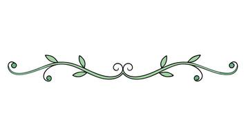 Stylish Botanical Ornament Elements for Artistic Borders and Patterns vector