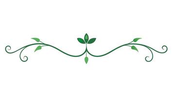 Floral Underline Elements for Luxury Invitations and Frames vector