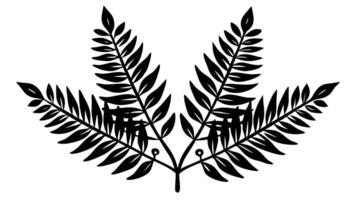 Elegant Floral Ornaments for Border Decorative Design Projects vector