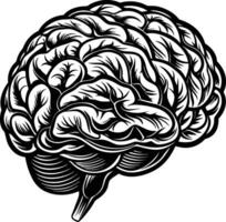 A drawing of a human brain vector
