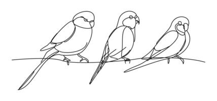 Gentle birds perching calmly on a branch, drawn in one continuous line. The drawing captures the essence of spring, when life awakens in quiet harmony. vector
