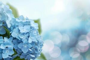 Blooming blue hydrangea flowers on blurred background with bokeh effect photo