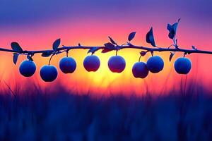 Sunset Tranquility Apples on Branch Silhouette Against Vibrant Twilight photo