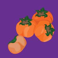 persimmon fruit clasic fresh fruit Persimmons thrive in our microclimate that boasts mild summers and moderate winters vector