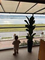 Child looking outside through a large window overlooking a calm lakeside photo