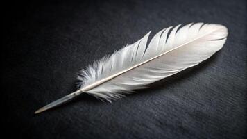 A single white feather lies on dark textured background symbolizing death serenity and reflection photo