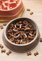 Slow colorful feeder dog bowls preventing gulping and improving digestion photo