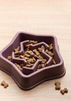 Slow feeder dog bowl star shape preventing gulping and improving digestion photo