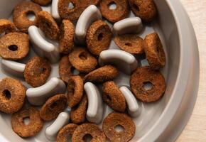 Dry dog food in slow feeder bowl preventing gulping and improving digestion photo