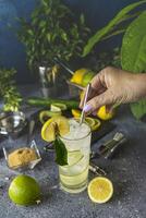 Bartender preparing refreshing cucumber, lemon and lime cocktail with metal straw photo