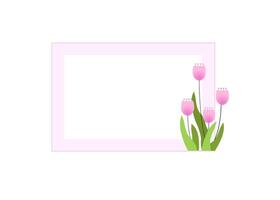 A pink tulip and a blank frame on a white background vector
