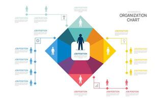 organization chart Infographic square template for with business avatar icons. illustration. vector