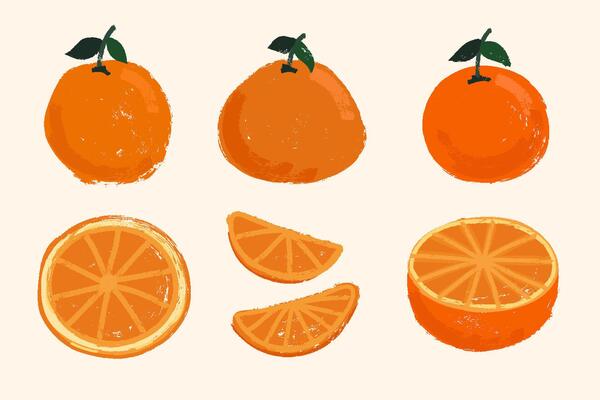 Grunge Brush Painted Oranges Set with Whole Citrus, Half Orange and Cut Slices. Chalk, grungy brush stroke painted tangerines set.