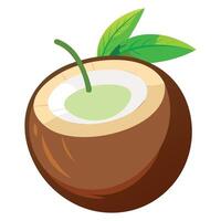 Minimal Coconut Art - Stylish and Simple vector