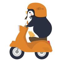 Side view of a penguin riding a scooter vector