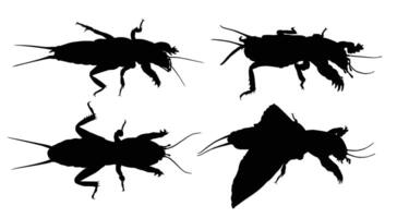 Set of silhouettes of a mole crickets. vector