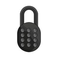illustration of Secure Lock vector