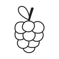 Grape. Fruit. Outline illustration on white background. vector