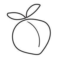 Peach. Outline icon. Hand drawn illustration on white background. vector
