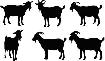 Set of Farm Goat Silhouettes for Design Projects, vector