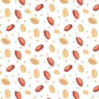 Peanuts. For design projects, food packaging, advertising, or creating educational material vector