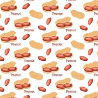 Peanuts in shell. For design projects, food packaging, advertising, or creating educational materials, ideal for use in food-related branding vector