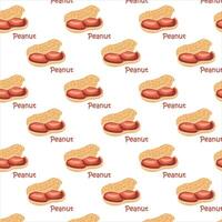 Peanuts in shell. For design projects, food packaging, advertising, or creating educational materials vector