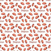 Peanuts in shell. For design projects, food packaging, advertising, or creating educational material vector