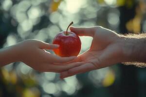 Man giving red apple to child in orchard during golden hour photo