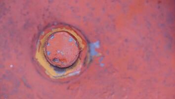 a close up of a rusty red bolt on a metal object photo