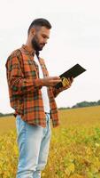 A farmer stands in a soybean field holding a pod and clipboard, evaluating the crop's readiness for harvest on a clear day video