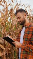 Farmer Recording Corn Harvest Data in a Field video