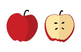 Red apple with seeds full and halved view. Flat doodle illustrations. vector