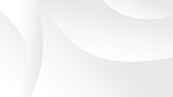 abstract white modern gradient color background with graphic lines decoration vector
