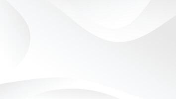 abstract white gradient color background with graphic lines decoration vector