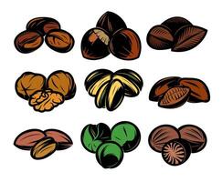 set of colored symbols patterns of different seeds, nuts, fruits vector