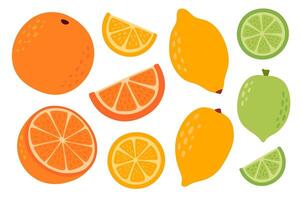 Set of different citrus fruits. Lemon, orange, lime, grapefruit. Whole, halves and slices. Collection of organic vitamins and healthy nutrition. Flat illustration isolated on white background vector