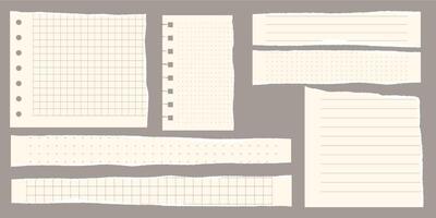 Paper scraps. Torn pieces of paper, with torn edges for notes, realistic torn pieces of blank note pages. illustration isolated vector