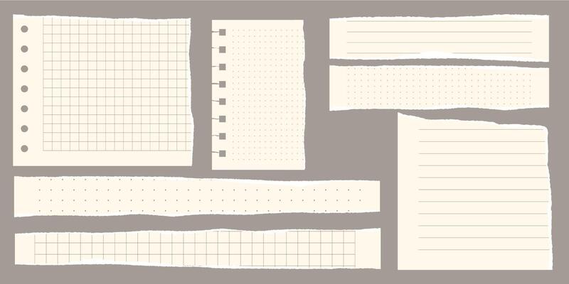 Paper scraps. Torn pieces of paper, with torn edges for notes, realistic torn pieces of blank note pages. illustration isolated