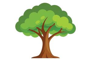 illustration of a lush green tree. vector
