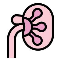 Human kidney filtering blood representing urinary system and nephrology vector
