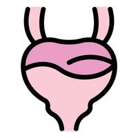 Human bladder storing urine, showing ureters and urethra, urinary system vector