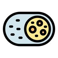 Chlamydia trachomatis bacteria showing elementary body and reticulate body stages vector