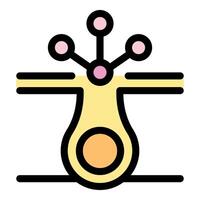 Neuron receiving neurotransmitters, neural communication, synaptic transmission vector