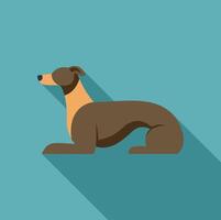 Greyhound lying down with long shadow on turquoise background vector